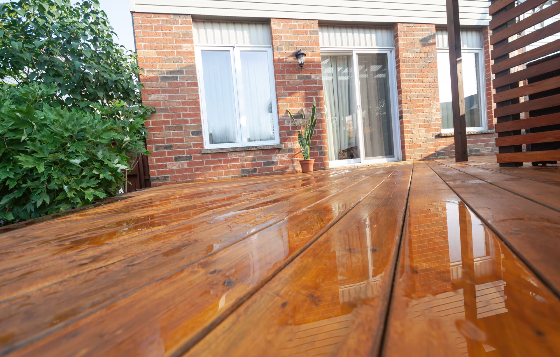 Best Deck Stains for Florida Weather: St. Augustine Homeowner Guide image